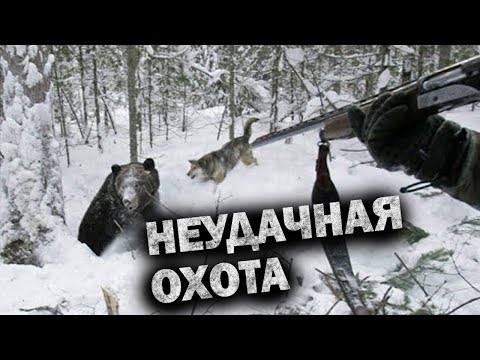 Видео: 💥/ОХОТА на БЕРЛОГЕ/ Но вдруг что- то пошло не так/