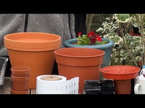 Видео: Все о горшках для пеларгоний