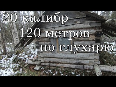 Видео: Шок!Подстрелил глухаря с 120м с вертикалки,ночь в избе,не пуганные глухари.