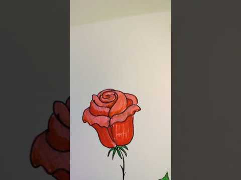 Видео: Как рисовать розу, розочку, цветок. Rose.  #art#рисуемсмалышами#felt-tip pen#rose#flower