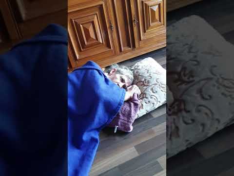 Видео: Деменция. Очередной психоз