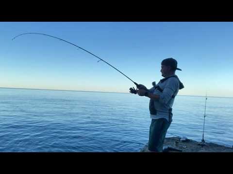 Видео: РЫБАЛКА НА ЧЕРНОМ МОРЕ С БЕРЕГА | РОКФИШИНГ | СОЧИ 🎣🌊👉 #рыбалка #fishing #море #рокфишинг #fish