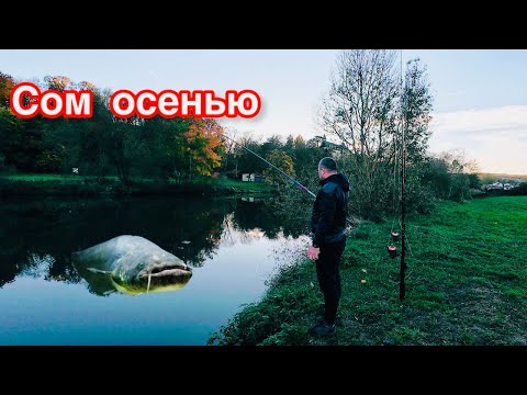 Видео: Ловля сома в ноябре