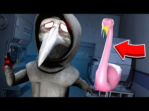 Видео: НОВЫЙ SCP ФЛАМИНГО ОХОТИТСЯ НА SCP│14.0 В SCP : SECRET LABORATORY
