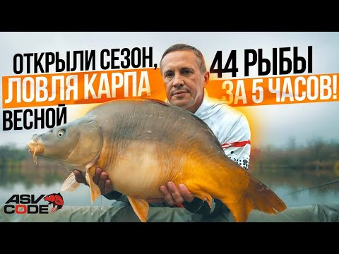 Видео: ОТКРЫЛИ СЕЗОН, ЛОВЛЯ КАРПА ВЕСНОЙ - 44 РЫБЫ ЗА 5 ЧАСОВ