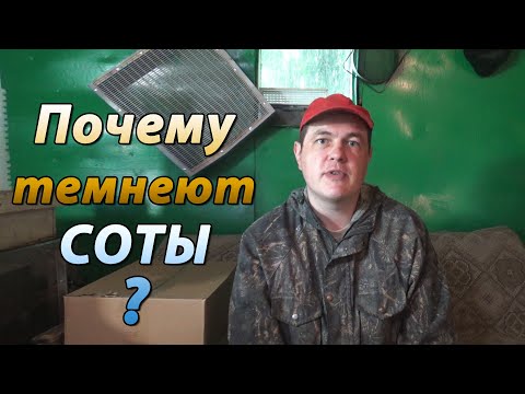 Видео: Почему стареют и темнеют соты в улье. Как часто нужно менять сушь для пчёл.