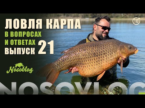 Видео: Карпфишинг в вопросах и ответах, А Колесников, выпуск 21