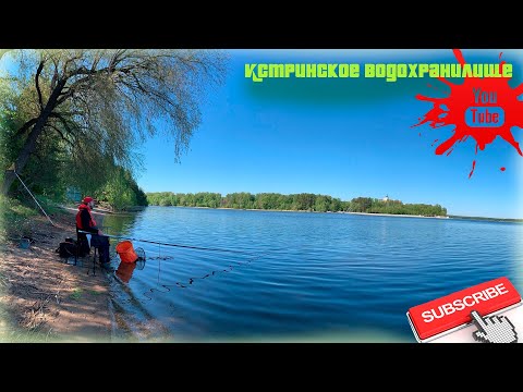 Видео: Истринское Водохранилище, д. Пятница. Как ловить рыбу на поплавок? Чемпионат Московской области ))