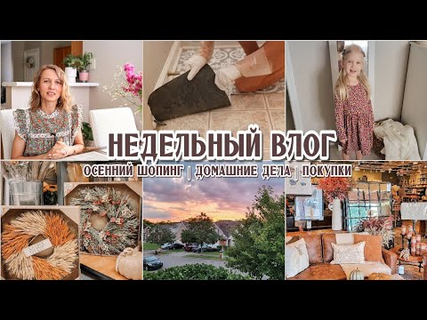 Видео: Осенний декор | Убираю плитку в ванной | Бюджетная идея для ремонта | Покупки
