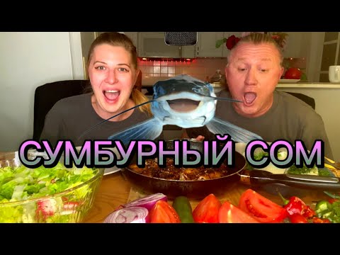 Видео: МУКБАНГ. АСМР. ХРУСТЯЩИЙ СОМ. ОБЖОР. MUKBANG. ASMR. CATFISH. CRUNCHY FOOD #mukbang  #asmr #fish