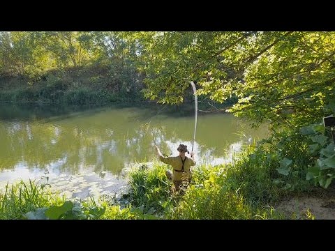 Видео: ЛЕТНЯЯ РЫБАЛКА НА ЕЛЬЦА ПЛОТВУ И ГОЛАВЛЯ.РЫБАЛКА НА ПОПЛАВОК.