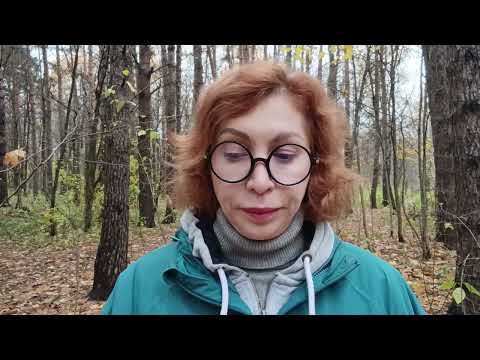 Видео: Низкая зарплата. Что делать? 