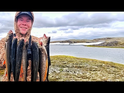 Видео: ЭКСПЕДИЦИЯ НА КРАЙ СВЕТА!! ДИКИЙ ЗВЕРЬ ПРЕСЛЕДОВАЛ МЕНЯ ЦЕЛЫЙ ДЕНЬ!!! РЫБАЛКА НА ГОЛЬЦА!!!