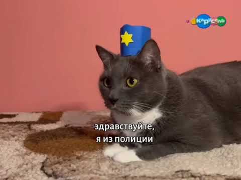 Видео: котинет 1 серия карусель (05.10.2015)
