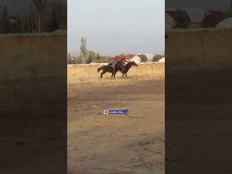 Видео: 8 ноября 2025 г.