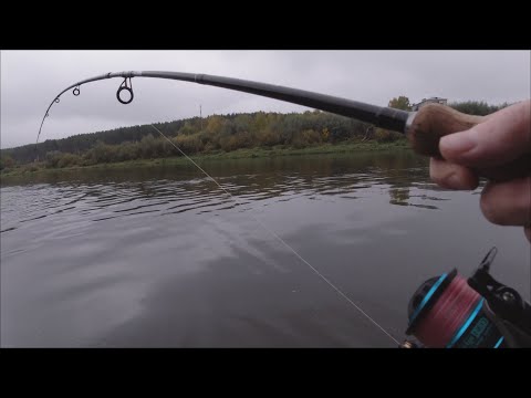 Видео: РЫБАЛКА НА СПИННИНГ В СЕНТЯБРЕ. Давит вниз, не ожидал, что попадется ТАКАЯ РЫБА!!! Рыбалка осенью.