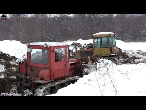 Видео: Такого ГОРОДСКИЕ не видели! Трактора ДТ 75 толкают навоз на ферме!