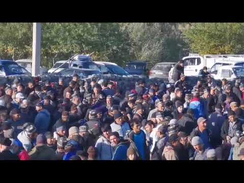 Видео: бозори дупула Панчакент