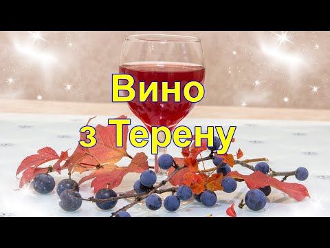 Видео: Смачне Вино з Терену,Вино з Терену,Як робити вино в домашніх умовах,ВИНО из Терна,рецепт вина