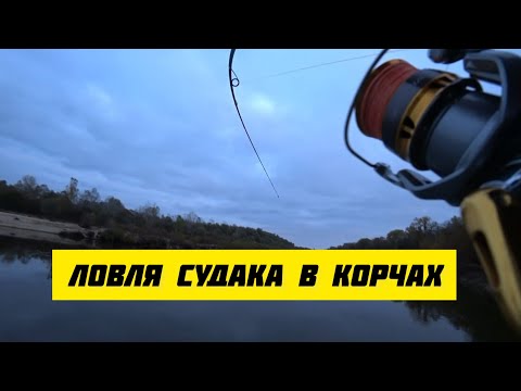 Видео: ЛОВЛЯ СУДАКА В КОРЧАХ. Джиг на Десні