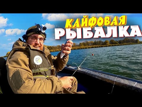 Видео: КАЙФОВАЯ РЫБАЛКА ВКУСНАЯ РЫБА В САДКЕ И НА СКОВОРОДКЕ