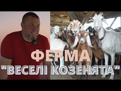 Видео: Кози породи Зааненська, Англо-нубійська та Бурська