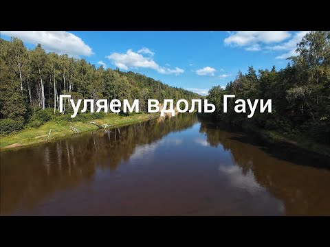 Видео: Гуляем вдоль реки Гауя в Сигулде. 4К.