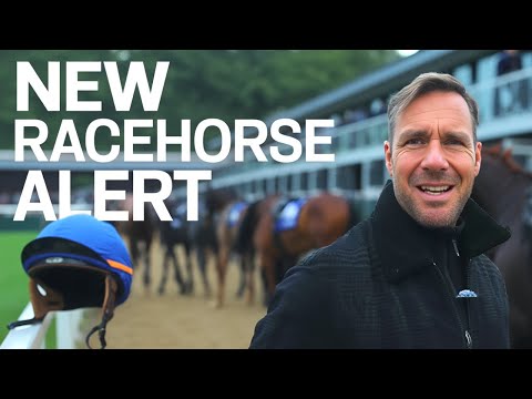 Видео: К команде присоединяется особенная лошадь!