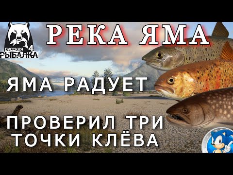 Видео: 🌟РЕКА ЯМА🌟ПРОВЕРИЛ ТРИ КООРДИНАТЫ🌟Русская Рыбалка 4(РР4)🌟