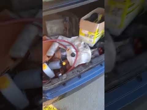 Видео: обзор вортекс эстина чери фора. местоположение вин