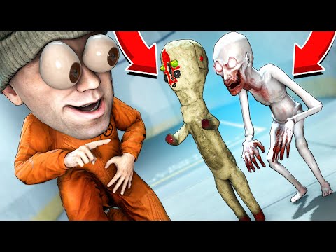 Видео: УМЕНЬШИЛ ВСЕХ В 2 РАЗА В SCP: SECRET LABORATORY! (SCOPOPHOBIA)