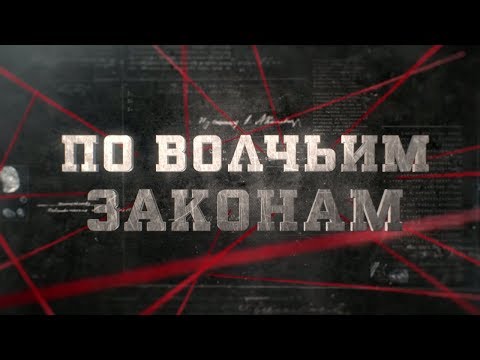 Видео: По волчьим законам | Вещдок