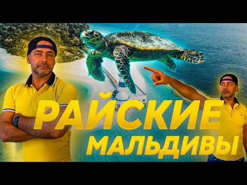 Видео: РАЙСКИЕ МАЛЬДИВЫ ! Путешествие в ЧУДО / Kuredu Island Maldives