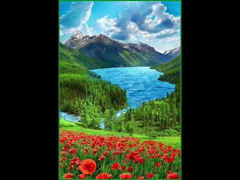 Видео: Шукри давлат