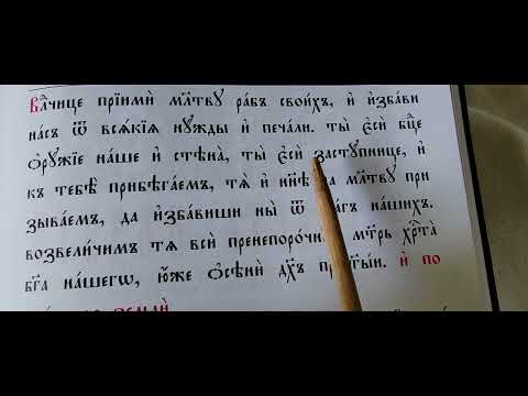 Видео: 💖ВЛАДЫЧИЦЕ прїими МОЛИТВУ 💖 💡🗣️ Лука 9 лет & мама Ирина