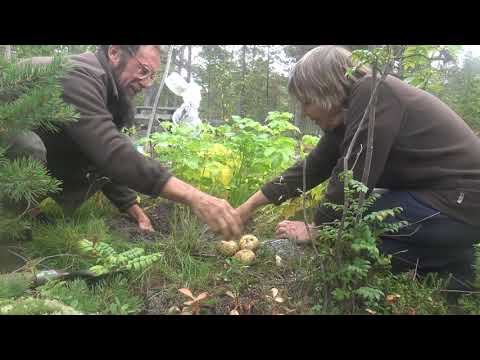 Видео: Белое море 2023 часть четвёртая