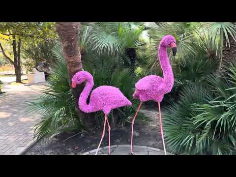 Видео: ПОГОДА В СОЧИ #ТУРИСТЫ ПОКИДАЮТ КУРОРТ #ПАРК РАЗВЛЕЧЕНИЙ