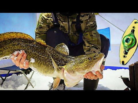 Видео: ТРОФЕЙ В ПЕРИОД ИКРАМЁТА. РЫБАЛКА НА НАЛИМА В ГЛУХОЗИМЬЕ.