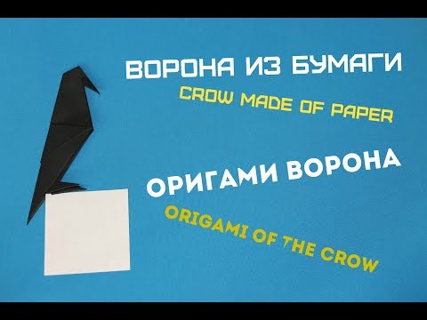 Видео: Ворона из бумаги. A crow out of paper
