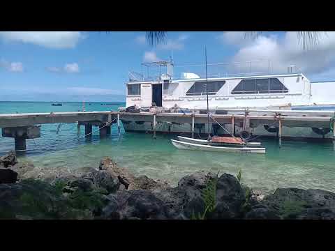 Видео: Мачта для маленького ката) предварительная установка)