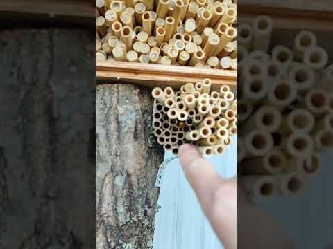 Видео: Завершення сезону 2025 -  що дізнався нового?