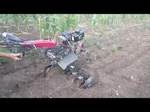 Видео: Weima 1100 a6 эксплуатация. Exploitation.