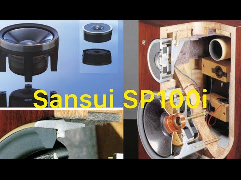 Видео: Sansui SP-100i II REWIEV II Демонстрация II In Audio