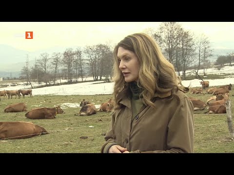 Видео: Среща с дамата фермер на годината, Бразди - 08.03.2025