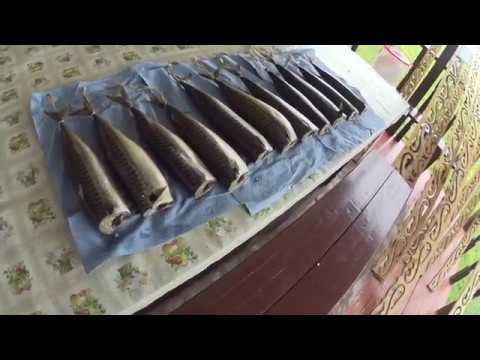 Видео: Скумбрия холодного копчения