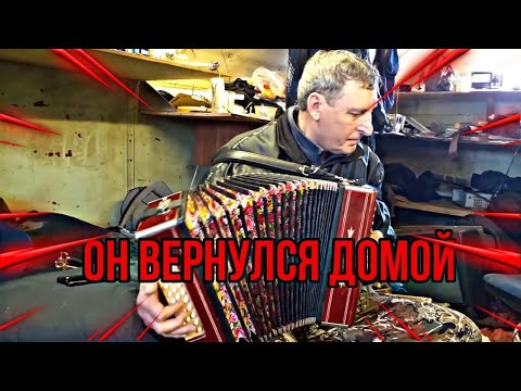 Видео: Он вернулся домой!