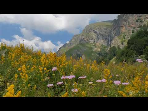 Видео: Гаджи Халиков - Лекна хив saxur mahnisi😍.цахурские песни..