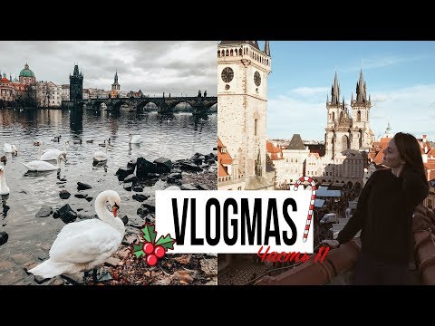 Видео: МОЙ ДЕНЬ РОЖДЕНИЯ В ПРАГЕ | VLOGMAS #11