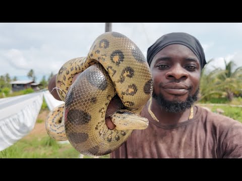 Видео: Охота на настоящую змею