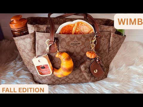 Видео: БЭГТОБЕР: ЧТО В МОЕЙ СУМКЕ СУМКА-ТОУТ COACH ОСЕННИЙ ВЫПУСК #coach